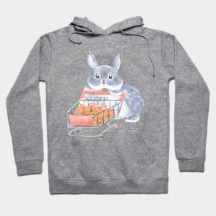 Shooping Rabbit Hoodie